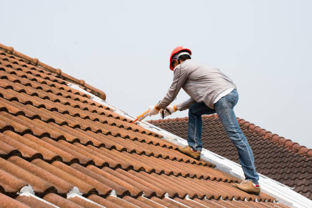 Best Roof Coating and Sealing  in Clayton, NJ